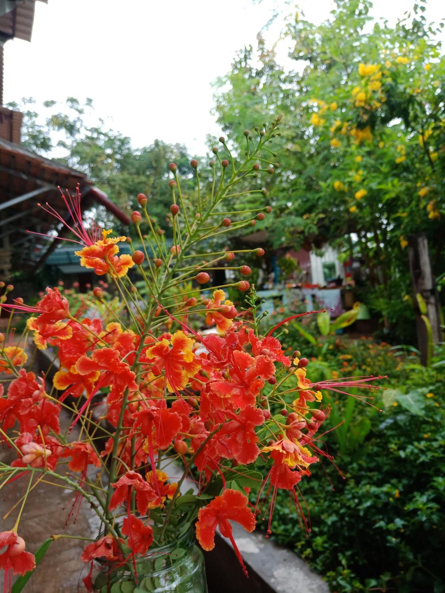 Silk Island Homestay Phnom Penh Exterior photo